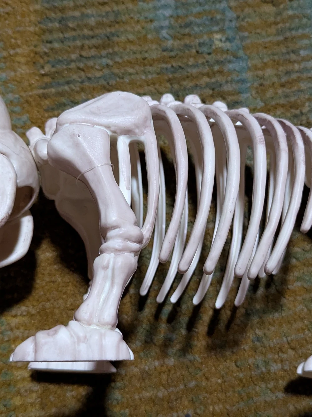 Decorative Reptile Skeleton Dog Toy - Cream with Red Ball + Rat And 2 Spiders